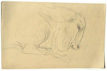 Visualizza l'immagine "FD D 153"